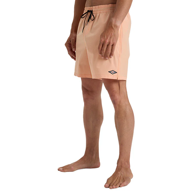 Billabong | Short de Bain Homme Every Other Day - Image 42