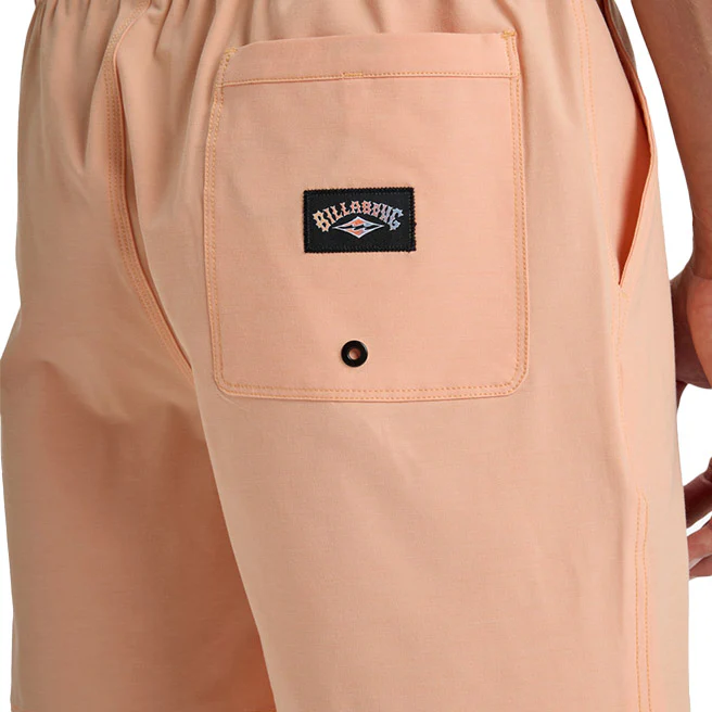 Billabong | Short de Bain Homme Every Other Day - Image 43