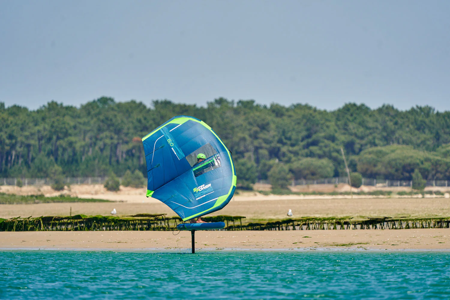 GONG | Foil Carbon Mast HM 79 cm V2 - Image 5