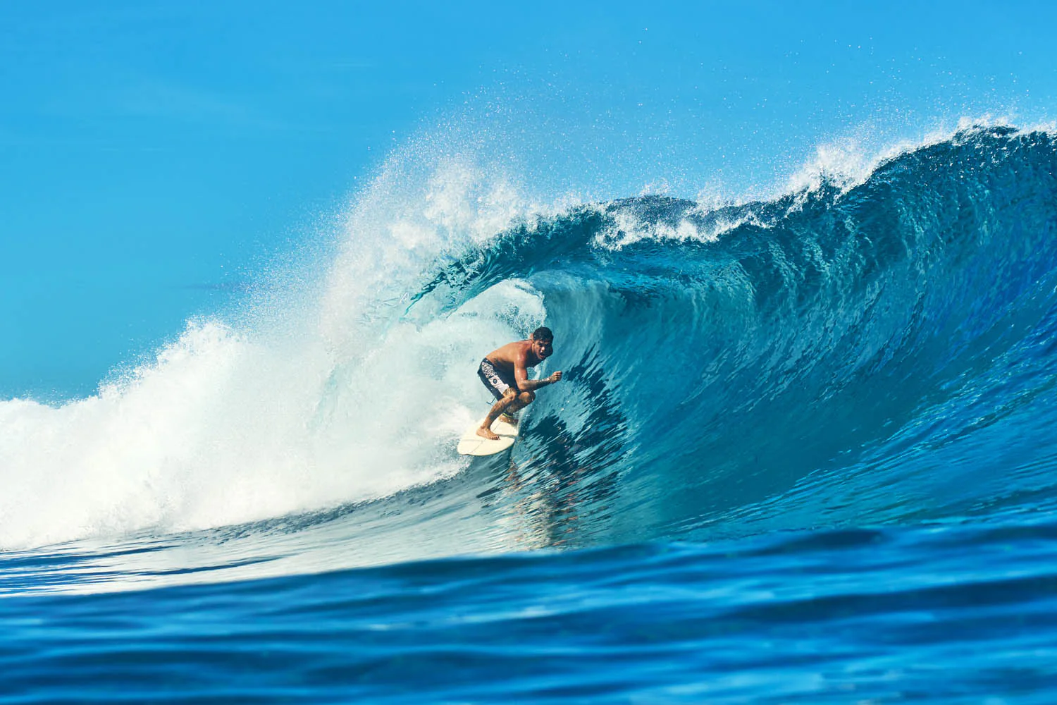 GONG | Surf Chemical EPS - Image 17