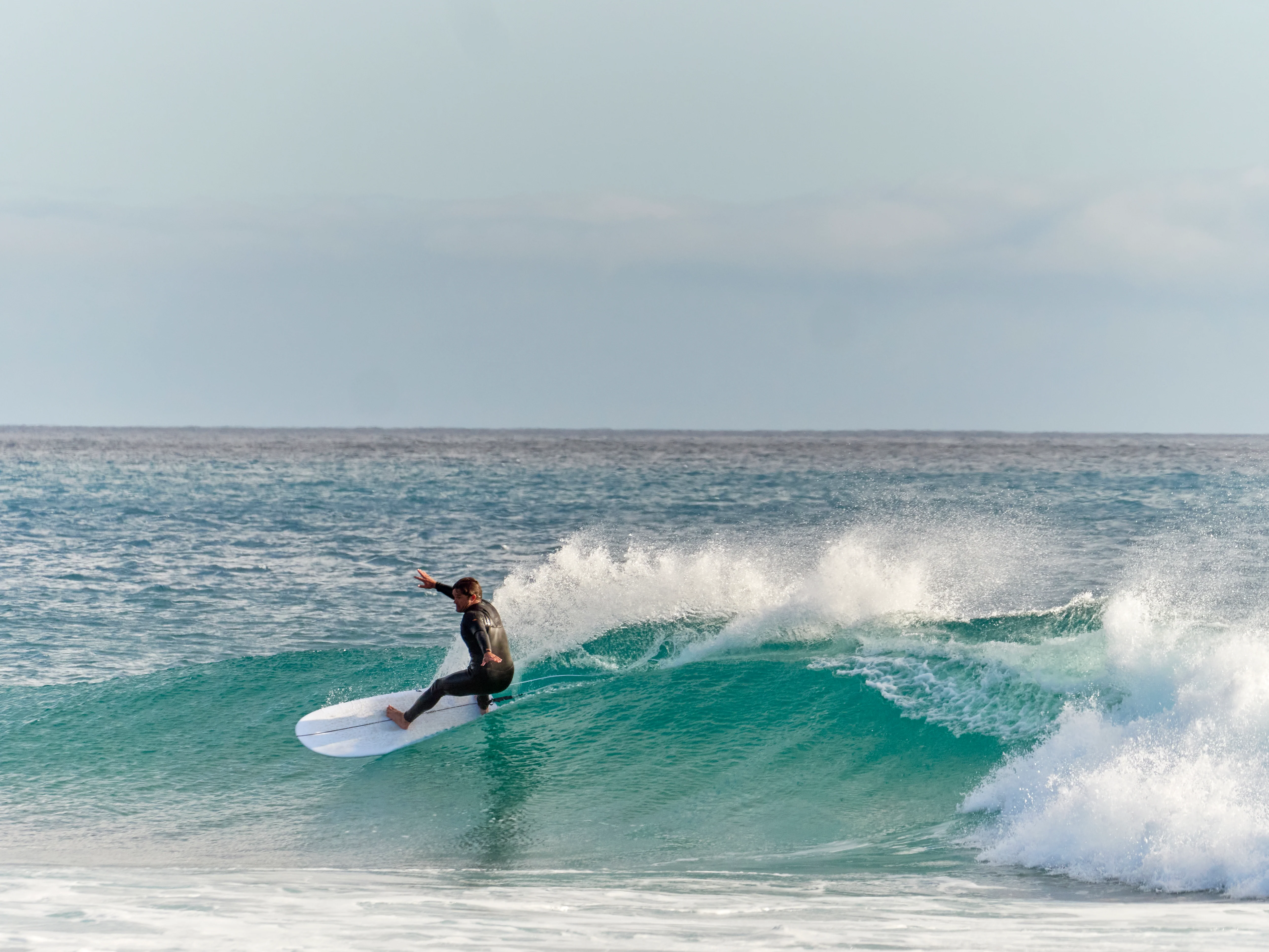 GONG | Surf Matata Pure Origin - Image 14
