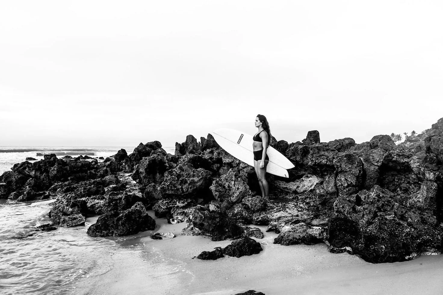 GONG | Surf Pie EPS - Image 18