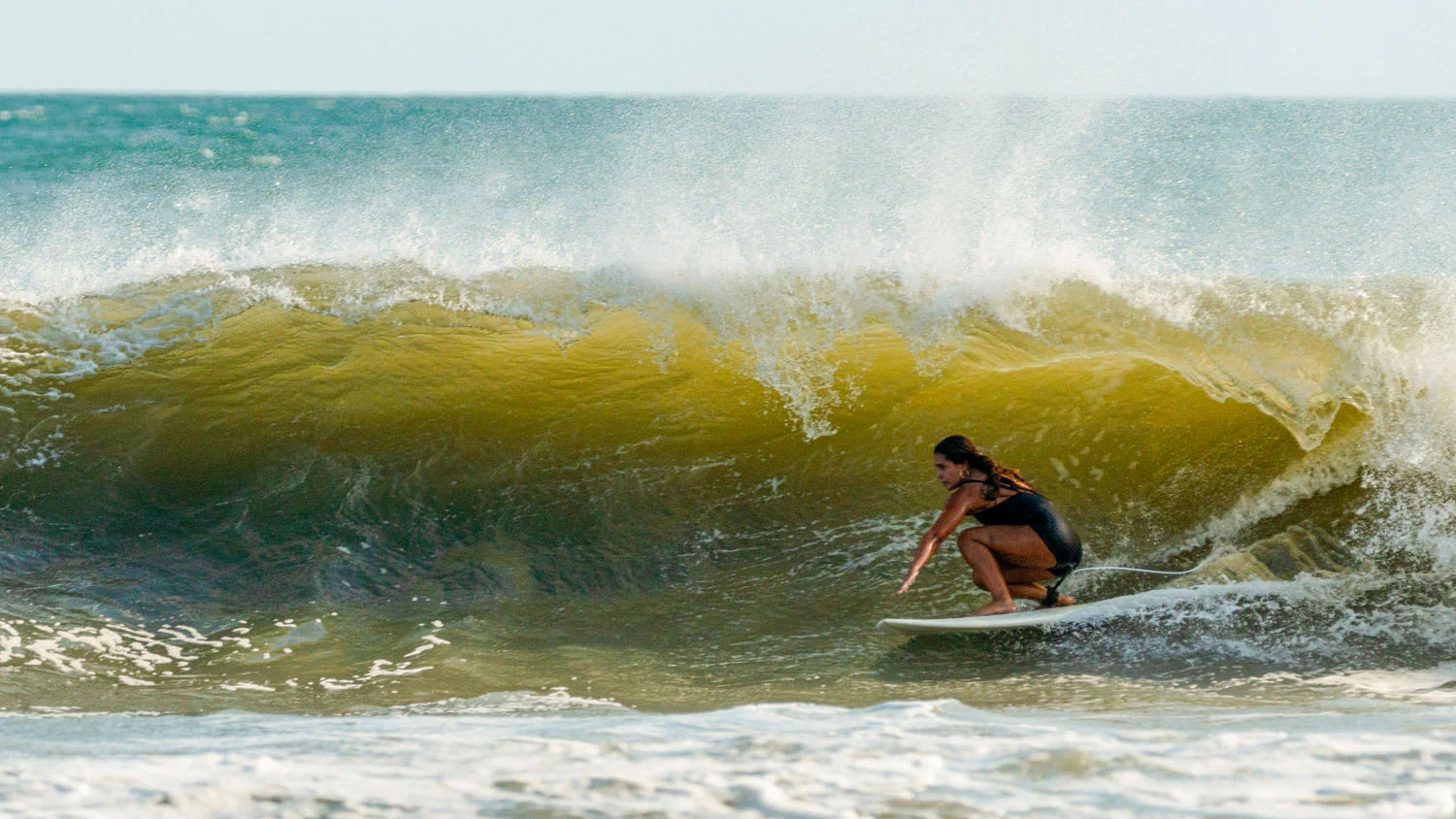 GONG | Surf Pie EPS - Image 9