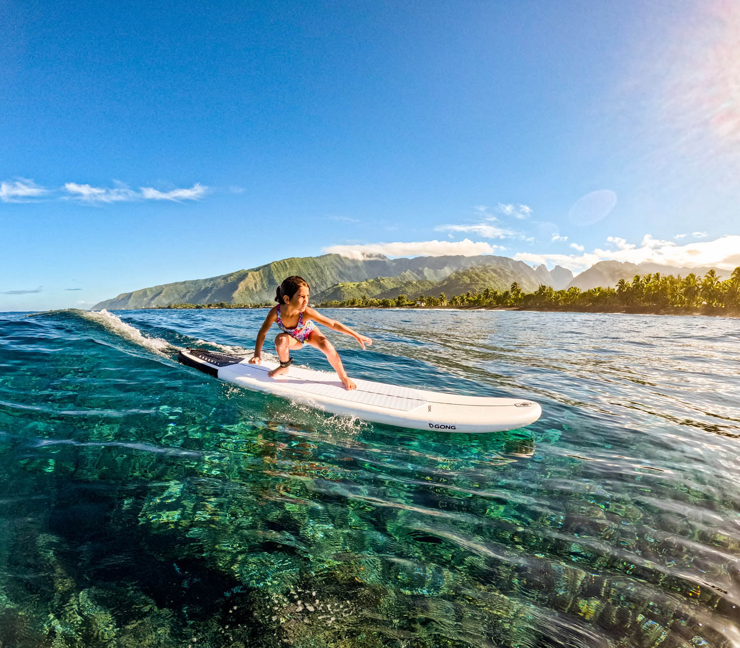 Pack | Pack I-Surf Longboard - Image 10