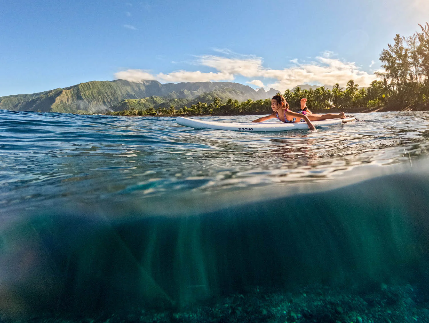 Pack | Pack I-Surf Longboard - Image 16